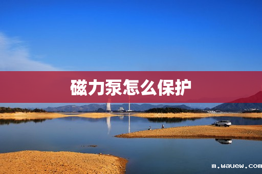 磁力泵怎么保护 磁力泵怎么保护