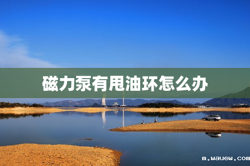 磁力泵有甩油环怎么办 磁力泵有甩油环怎么办