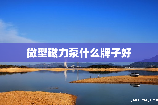 微型磁力泵什么牌子好 微型磁力泵什么牌子好