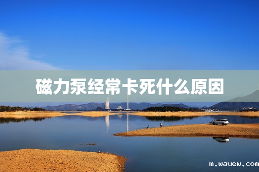 磁力泵经常卡死什么原因 磁力泵经常卡死什么原因