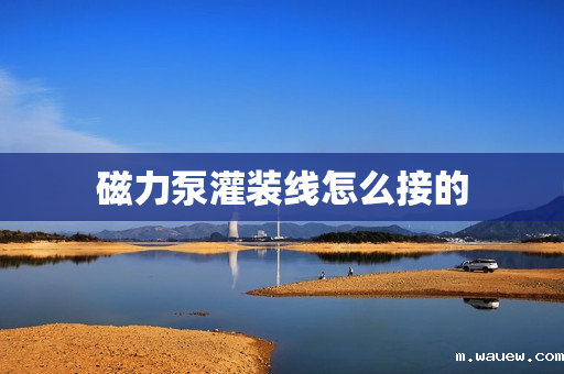 磁力泵灌装线怎么接的 磁力泵灌装线怎么接的