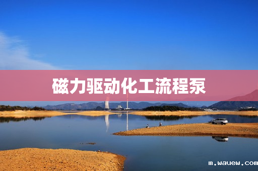 磁力驱动化工流程泵 磁力驱动化工流程泵