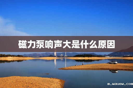 磁力泵响声大是什么原因 磁力泵响声大是什么原因