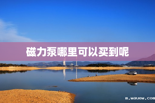 磁力泵哪里可以买到呢 磁力泵哪里可以买到呢