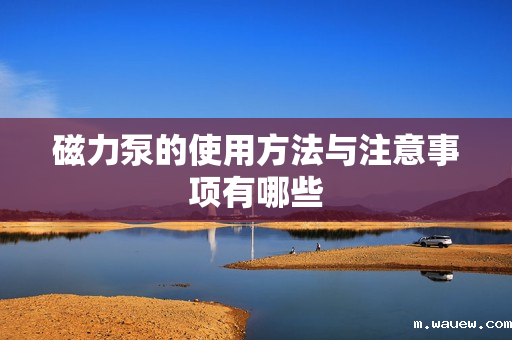 磁力泵的使用方法与注意事项有哪些 磁力泵的使用方法与注意事项有哪些