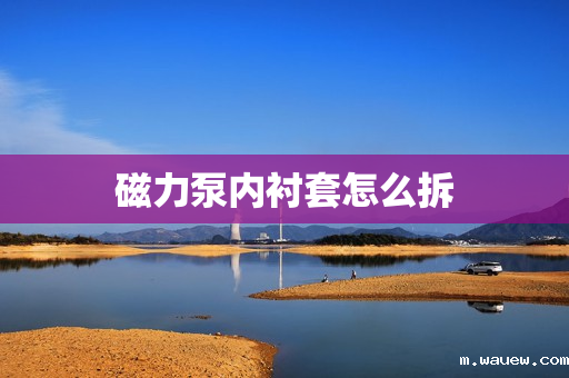 磁力泵内衬套怎么拆 磁力泵内衬套怎么拆