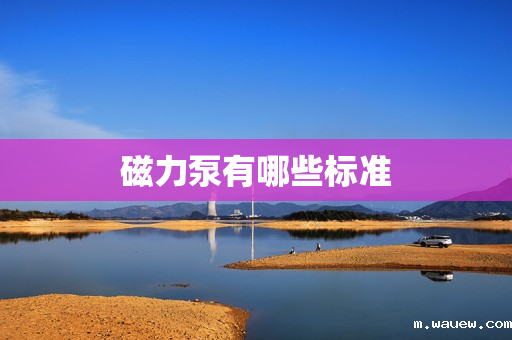 磁力泵有哪些标准 磁力泵有哪些标准