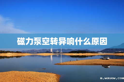 磁力泵空转异响什么原因 磁力泵空转异响什么原因