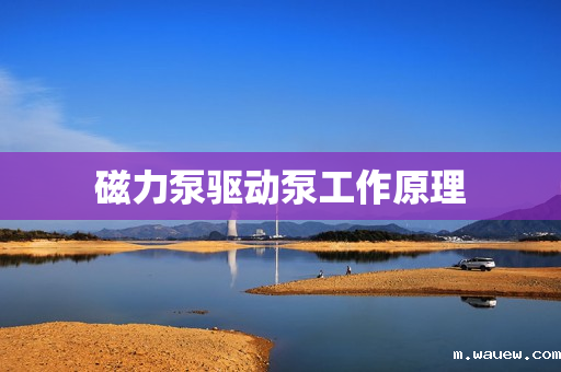 磁力泵驱动泵工作原理 磁力泵驱动泵工作原理