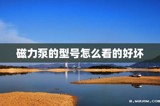 磁力泵的型号怎么看的好坏 磁力泵的型号怎么看的好坏