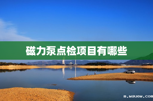 磁力泵点检项目有哪些 磁力泵点检项目有哪些