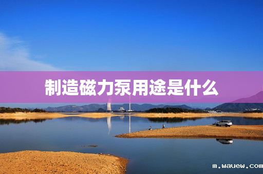 制造磁力泵用途是什么 制造磁力泵用途是什么