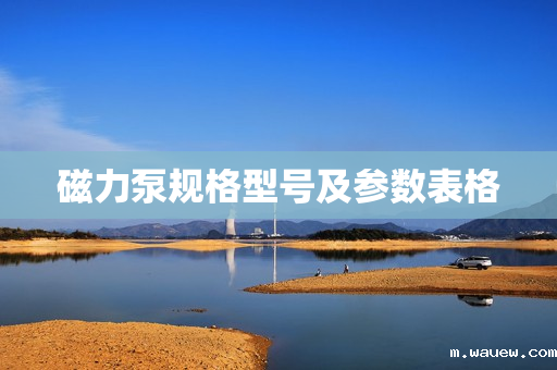 磁力泵规格型号及参数表格 磁力泵规格型号及参数表格