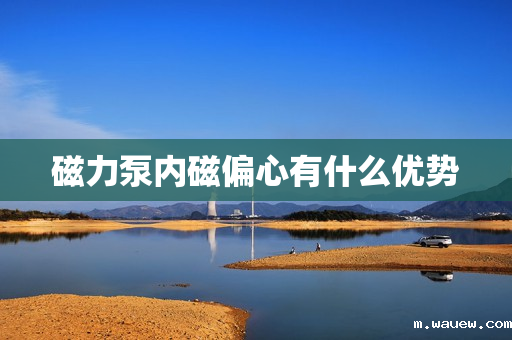 磁力泵内磁偏心有什么优势 磁力泵内磁偏心有什么优势