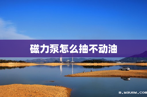 磁力泵怎么抽不动油 磁力泵怎么抽不动油