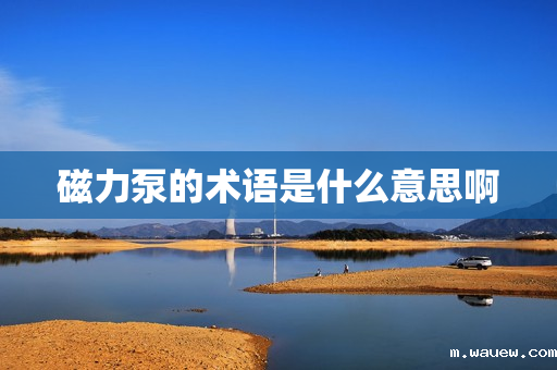 磁力泵的术语是什么意思啊 磁力泵的术语是什么意思啊