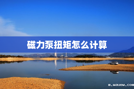 磁力泵扭矩怎么计算 磁力泵扭矩怎么计算