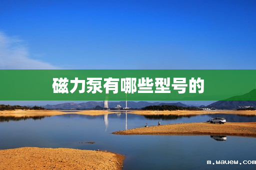 磁力泵有哪些型号的 磁力泵有哪些型号的