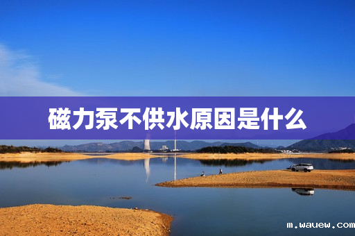 磁力泵不供水原因是什么 磁力泵不供水原因是什么