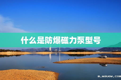 什么是防爆磁力泵型号 什么是防爆磁力泵型号