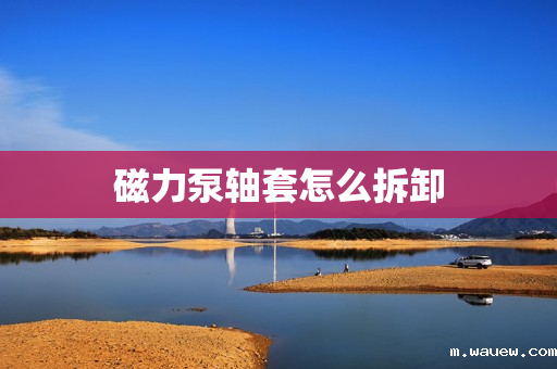 磁力泵轴套怎么拆卸 磁力泵轴套怎么拆卸