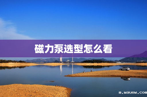 磁力泵选型怎么看 磁力泵选型怎么看