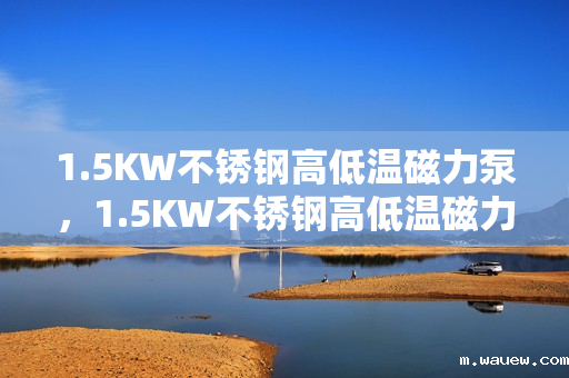 1.5KW不锈钢高低温磁力泵,1.5KW不锈钢高低温磁力泵——高效、稳定的流体输送解决方案 1.5KW不锈钢高低温磁力泵,1.5KW不锈钢高低温磁力泵——高效、稳定的流体输送解决方案