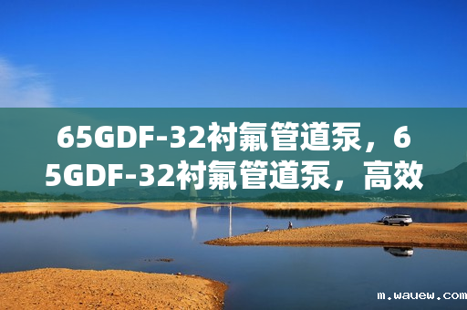 65GDF-32衬氟管道泵,65GDF-32衬氟管道泵,高效、稳定的流体输送解决方案 65GDF-32衬氟管道泵,65GDF-32衬氟管道泵,高效、稳定的流体输送解决方案
