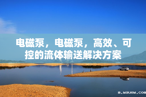 电磁泵,电磁泵,高效、可控的流体输送解决方案 电磁泵,电磁泵,高效、可控的流体输送解决方案