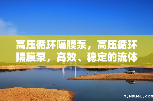 高压循环隔膜泵,高压循环隔膜泵,高效、稳定的流体输送解决方案 高压循环隔膜泵,高压循环隔膜泵,高效、稳定的流体输送解决方案