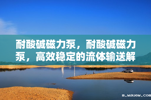 耐酸碱磁力泵,耐酸碱磁力泵,高效稳定的流体输送解决方案 耐酸碱磁力泵,耐酸碱磁力泵,高效稳定的流体输送解决方案