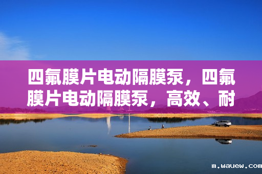 四氟膜片电动隔膜泵,四氟膜片电动隔膜泵,高效、耐腐蚀的流体输送解决方案 四氟膜片电动隔膜泵,四氟膜片电动隔膜泵,高效、耐腐蚀的流体输送解决方案