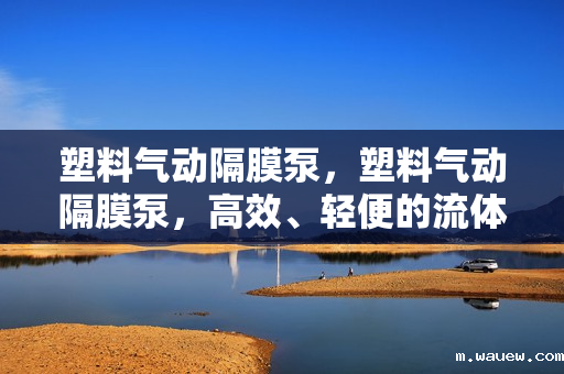 塑料气动隔膜泵,塑料气动隔膜泵,高效、轻便的流体输送解决方案 塑料气动隔膜泵,塑料气动隔膜泵,高效、轻便的流体输送解决方案