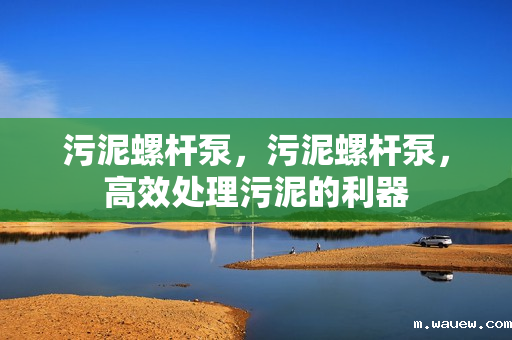 污泥螺杆泵,污泥螺杆泵,高效处理污泥的利器 污泥螺杆泵,污泥螺杆泵,高效处理污泥的利器