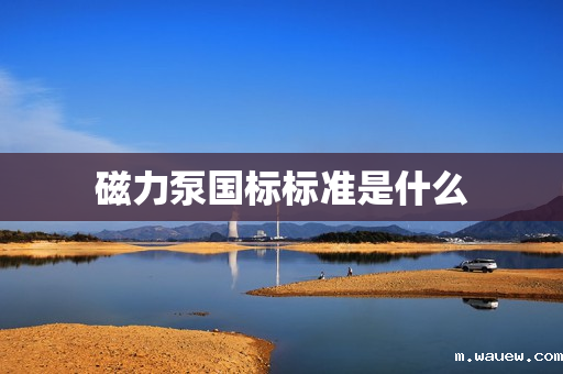 磁力泵国标标准是什么 磁力泵国标标准是什么