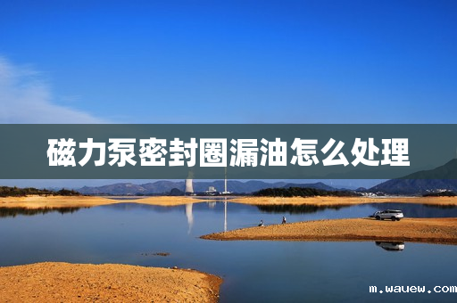 磁力泵密封圈漏油怎么处理 磁力泵密封圈漏油怎么处理