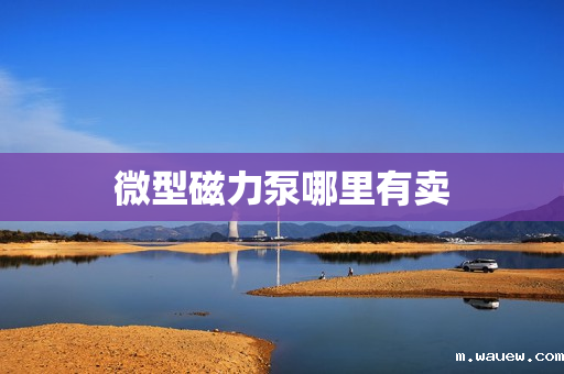 微型磁力泵哪里有卖 微型磁力泵哪里有卖