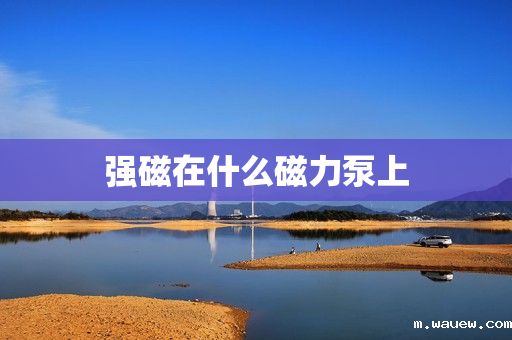 强磁在什么磁力泵上 强磁在什么磁力泵上