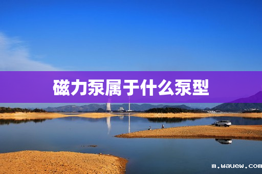 磁力泵属于什么泵型 磁力泵属于什么泵型