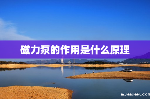 磁力泵的作用是什么原理 磁力泵的作用是什么原理