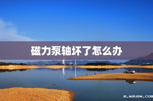 磁力泵轴坏了怎么办 磁力泵轴坏了怎么办