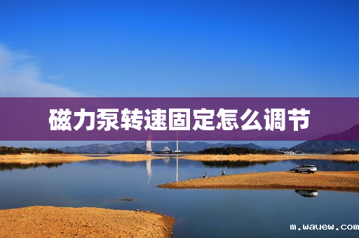 磁力泵转速固定怎么调节 磁力泵转速固定怎么调节