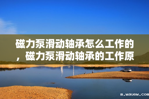 磁力泵滑动轴承怎么工作的,磁力泵滑动轴承的工作原理详解 磁力泵滑动轴承怎么工作的,磁力泵滑动轴承的工作原理详解