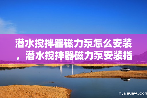 潜水搅拌器磁力泵怎么安装,潜水搅拌器磁力泵安装指南 潜水搅拌器磁力泵怎么安装,潜水搅拌器磁力泵安装指南