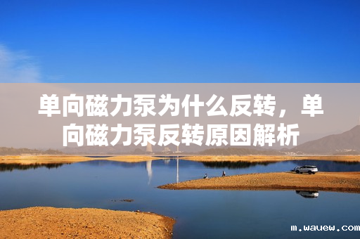 单向磁力泵为什么反转,单向磁力泵反转原因解析 单向磁力泵为什么反转,单向磁力泵反转原因解析