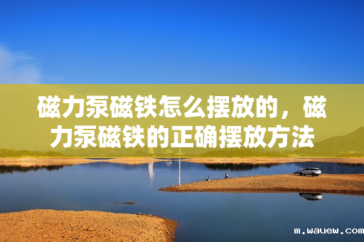 磁力泵磁铁怎么摆放的,磁力泵磁铁的正确摆放方法 磁力泵磁铁怎么摆放的,磁力泵磁铁的正确摆放方法