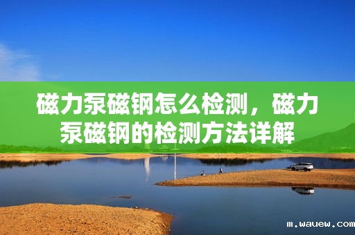 磁力泵磁钢怎么检测,磁力泵磁钢的检测方法详解 磁力泵磁钢怎么检测,磁力泵磁钢的检测方法详解