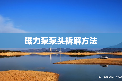 磁力泵泵头拆解方法 磁力泵泵头拆解方法