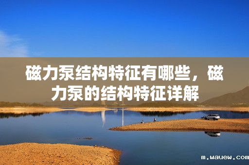 磁力泵结构特征有哪些,磁力泵的结构特征详解 磁力泵结构特征有哪些,磁力泵的结构特征详解