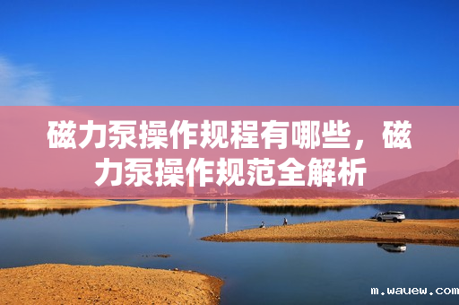 磁力泵操作规程有哪些,磁力泵操作规范全解析 磁力泵操作规程有哪些,磁力泵操作规范全解析